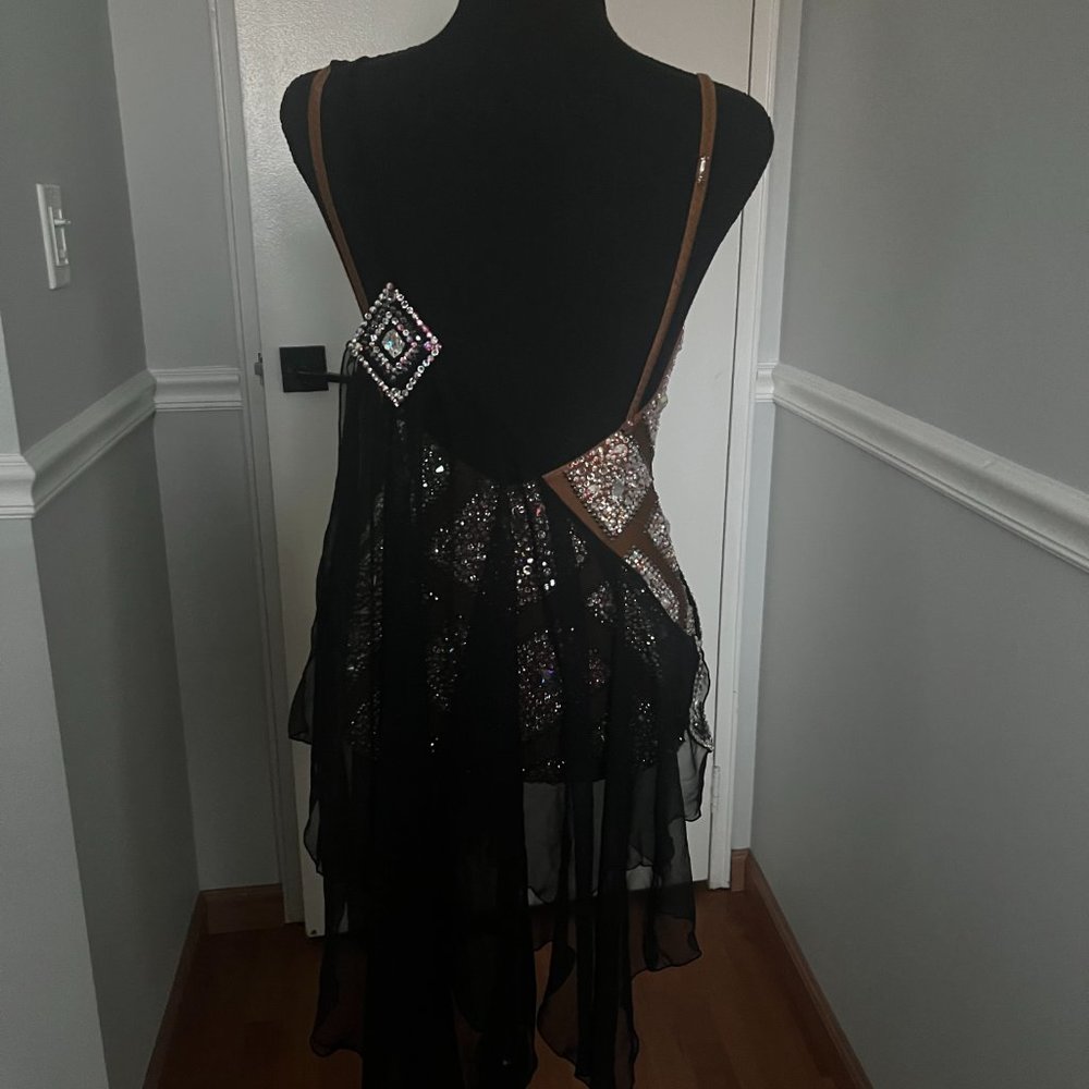 Latin Ballroom Dance Dress - Picture 9 of 16